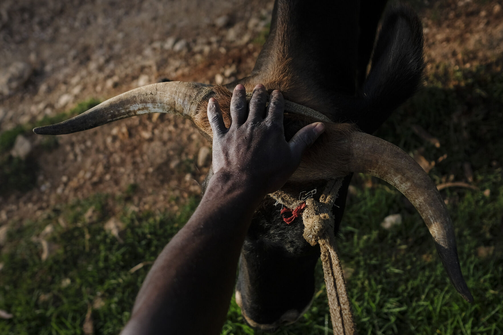 APTOPIX Haiti Daily Life